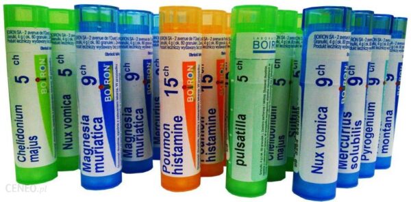 Boiron Aloe 9CH 4 g