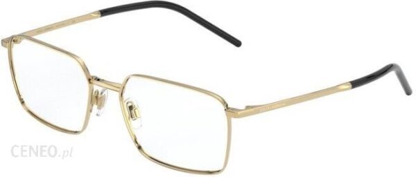 Dolce & Gabbana DG 1328 02 56