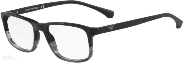 Emporio Armani EA3098 5566